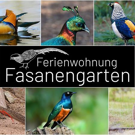 Fasanengarten In Траунройт Екстер'єр фото